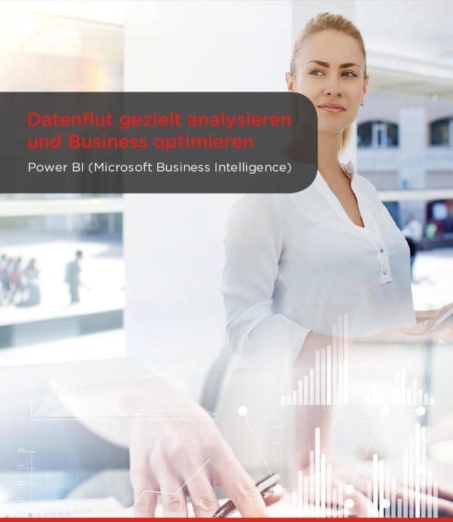 Datenflut gezielt analysieren und Business optimieren