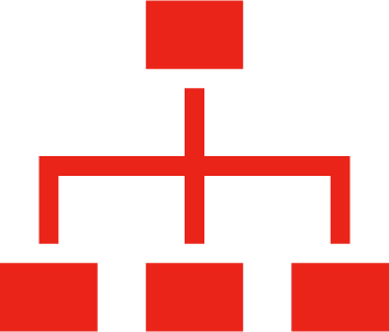 Organization