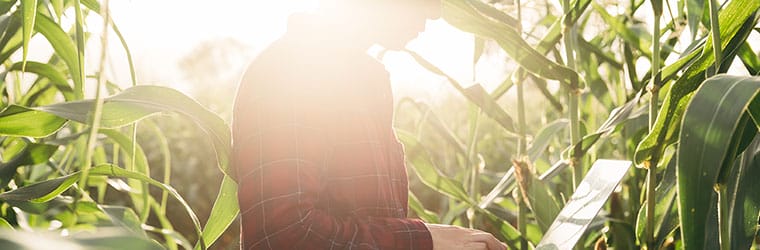 Alfapeople recognized by Microsoft as Partner of the Year for innovative RPA project